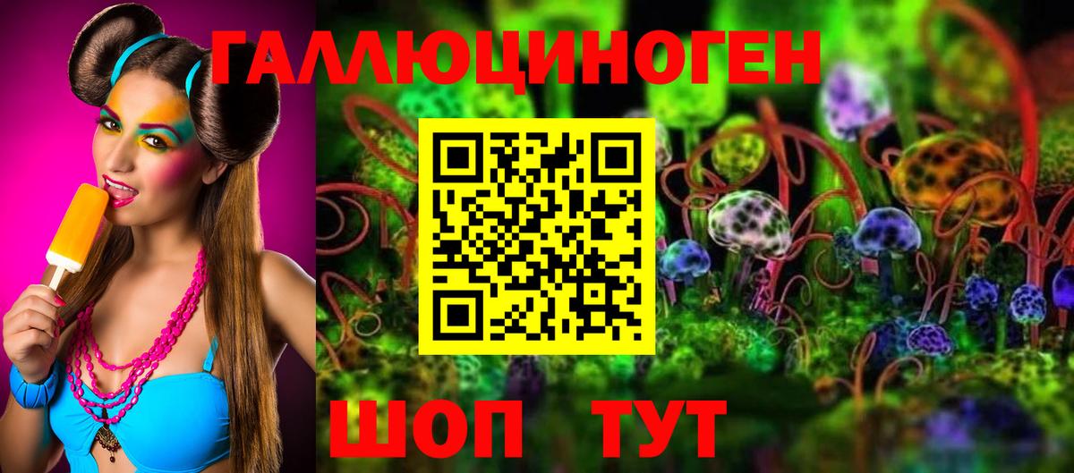 Псилоцибиновые грибы Psilocybine cubensis  Галлюциногенные грибы ЛСД  Зеленогорск  Вход с VPN 